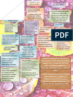Inhibidores de La Mitosis PDF