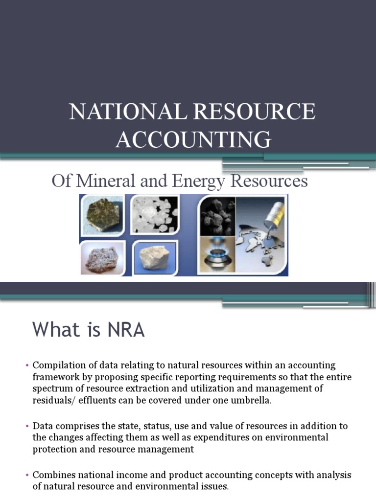Natural Resource Accounting PDF Mining Valuation (Finance)