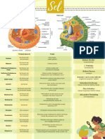 Biologi Sel