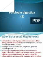 Lp16 Digestiv 2