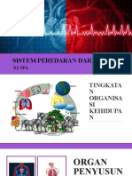 Sistem Peredaran Darah