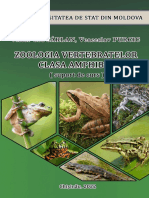 Victor Ciocarlan - Zoologia Vertebratelor-Clasa Amphibia