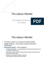 Labour Market Equlibrium