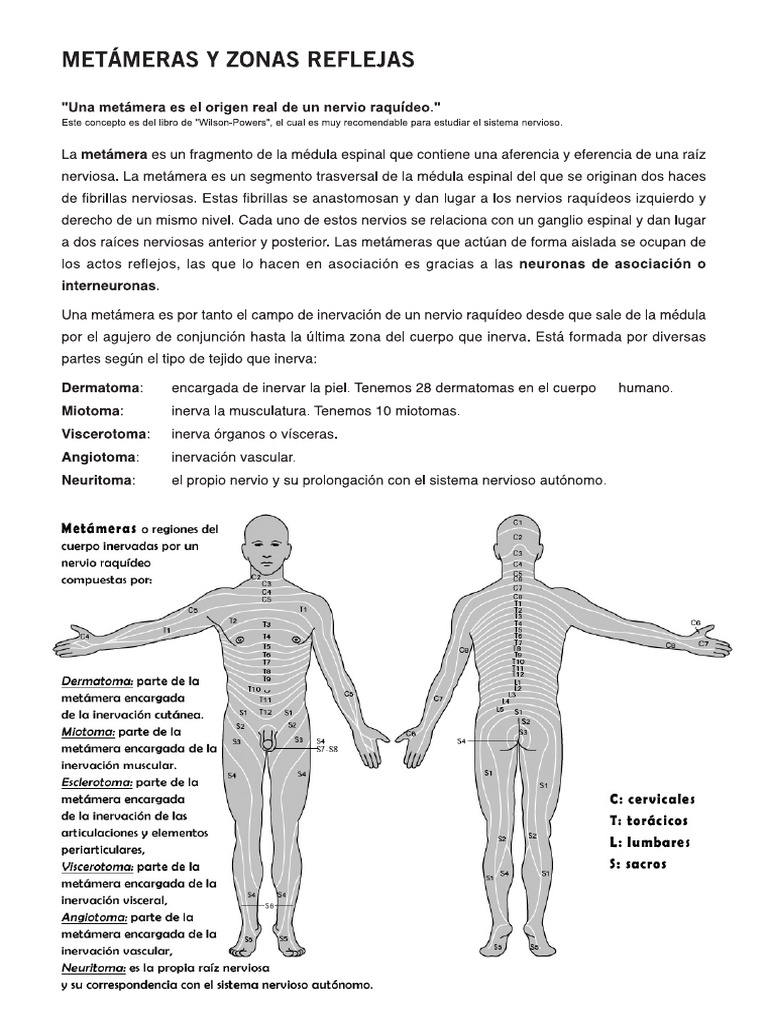 Metámeras y reflejos | PDF