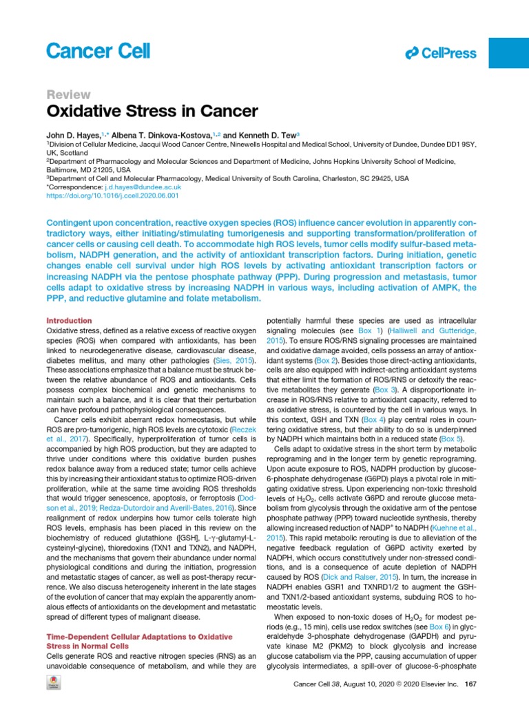 Oxidative Stress in Cancer: Review | PDF | Reactive Oxygen Species ...
