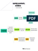 Neuropsicología, Neuroeducación y Neurodidáctica