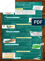 Infografía de Proceso Pizarra de Clases Notas Resaltadas Verde