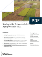 Radiografía Trimestral Del Sector Agropecuario 4T21 - Bancol