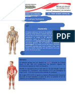 Anatomia 1 y 2 Secundaria