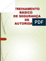 Treinamento Básico de Segurança de Autoridades