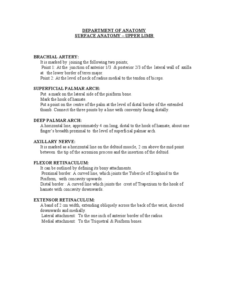 Surface Marking Upper Limb PDF