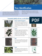 Ash Tree Identification: To Properly Identify Ash Trees, Use The Following Criteria