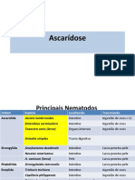 Ascaridida Ascaridiase LMV Anisakis 2022