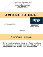 Diapos Ambiente Laboral