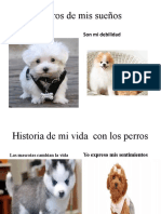 Presentacion Canina