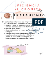 Insuficiencia Renal Crónica