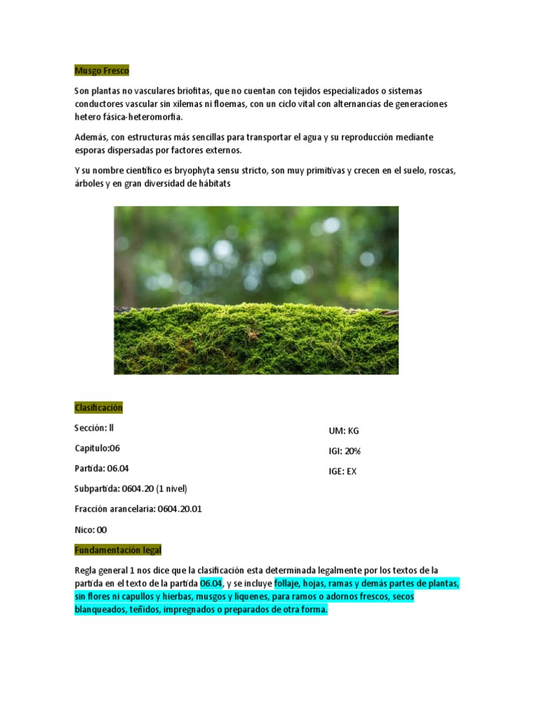 Musgo Fresco: Clasificación y Legalidad | PDF