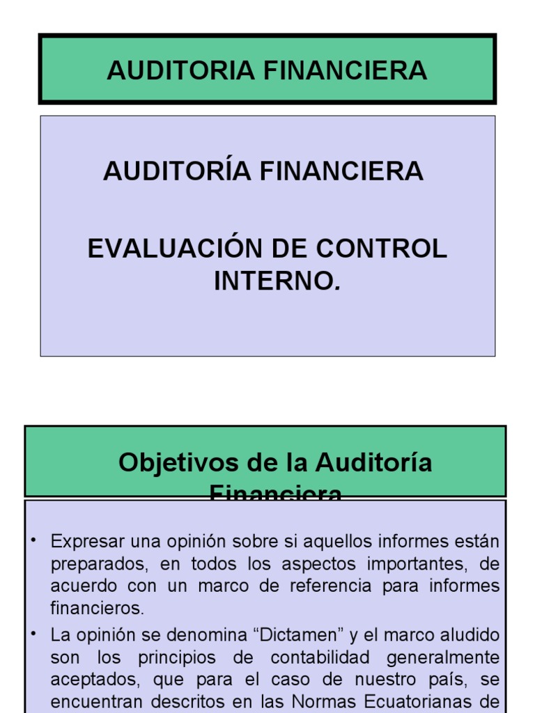 Auditoría Financiera y Control Interno | PDF | Auditoría | Contabilidad