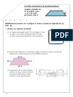 Ficha de Perímetros