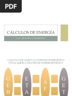 Fórmulas de GEB y GER en Nutrición | PDF | Nutrición | Dieta y nutrición