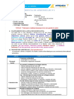 Solecito - Esquema de Experiencia de Aprendizaje para Diversificar - Docx Carrizal