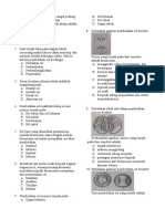 Soal Mitosis Meiosis