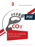 What Is Carbon Footprint?: When Recognition Matters