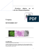 Guias de Practica Clinica para Tratamiento de Las Glomerulopatias. Version 2018