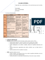 Columna Vertebral G