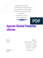 Aparato Genital Femenino Informe