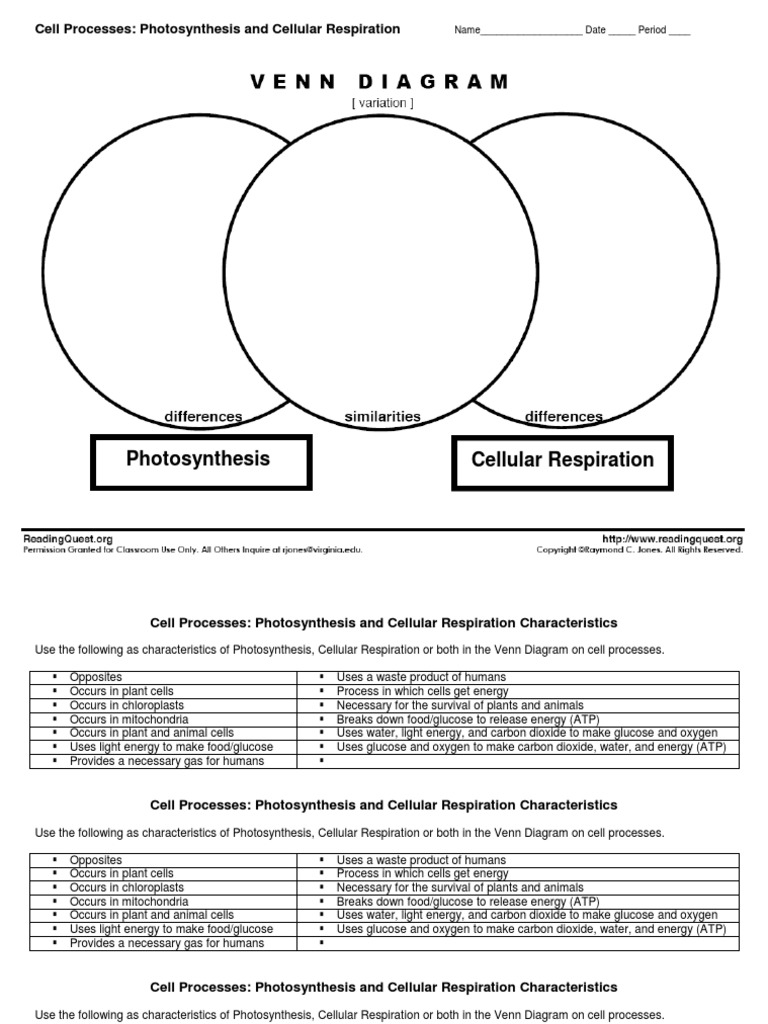 venn_diagram_photosynthesis_cellular_respiration | PDF | Photosynthesis