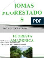 Biomas Florestados