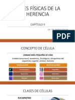 Capitulo 2 Bases Fisicas de La Herencia PDF