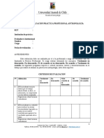 Pauta Evaluacion Institucional - Práctica Profesional