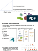 1.2.1. Bacterias y Consorcios Microbianos