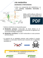 1.3.1 Productos Extracelulares e Intercelulares