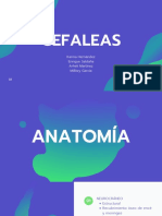 Cefaleas Patologías Anatomía Clínica
