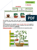PDF Las Plantas Compress