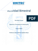 Actividad Bimestral