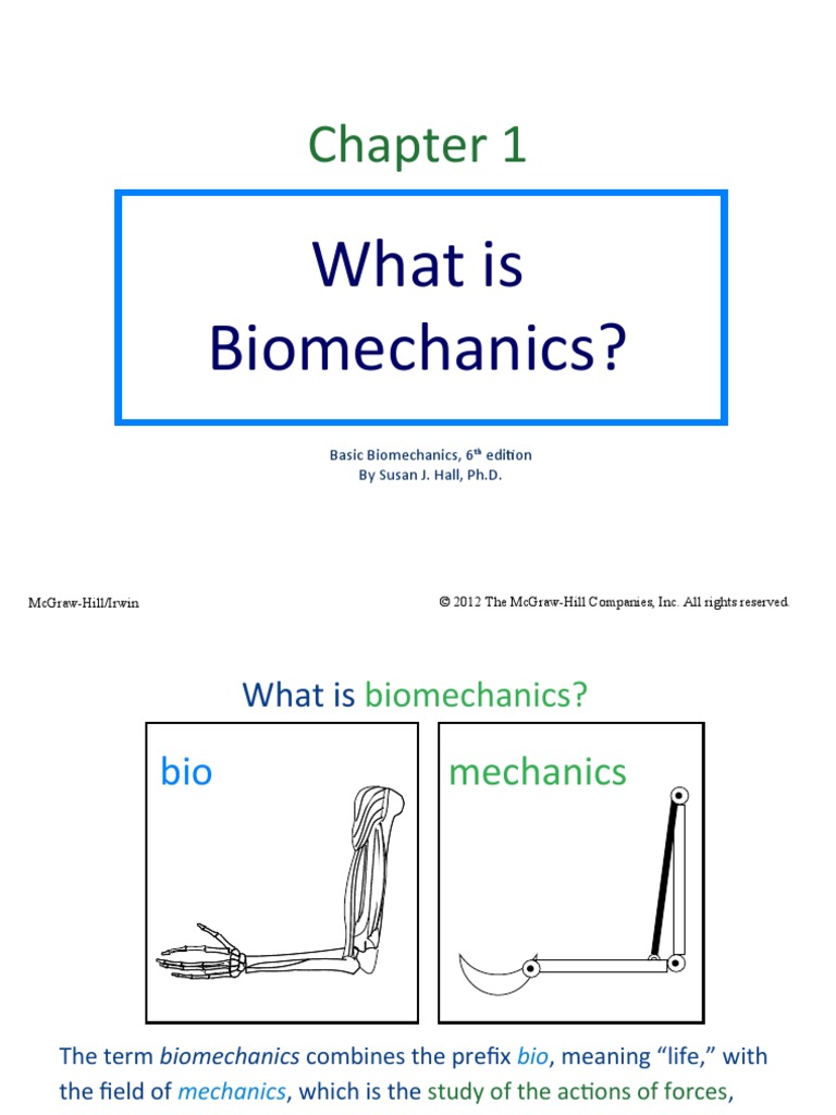 Biomechanics visual data 4