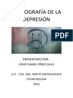 Monografía de La Depresión