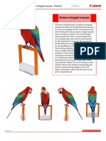 Green-winged Macaw Papercraft Pattern