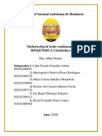 Informe Elaboracion de Leche Condensada