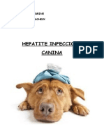 Veterinaria-hepatite Infecciosa Canina