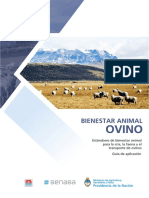 Estándares de bienestar animal para ovinos
