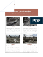 Effects of Volcanic Eruptions