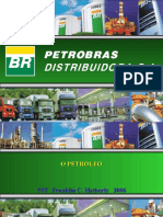 O Petróleo