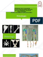 Osteología