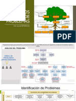 2.1 Árbol de Problemas Ejemplos