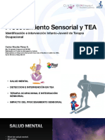 Presentacion Procesamiento Sensorial y Tea HCHM
